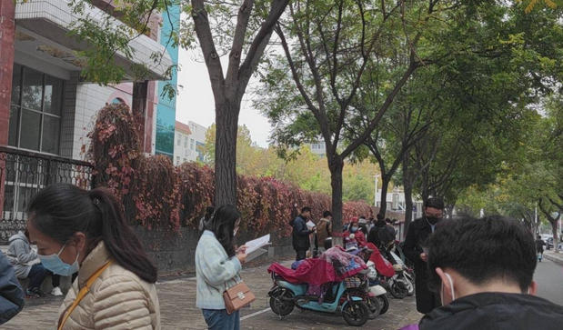 教资查询入口2024年-教资查询入口2024