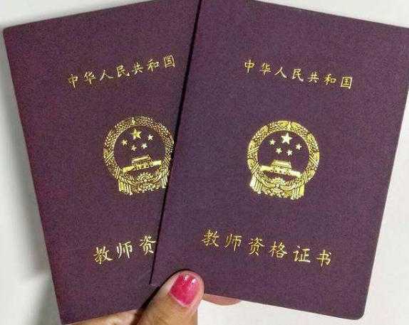 教师资格证网官网登录入口查询-教师资格证官网查询